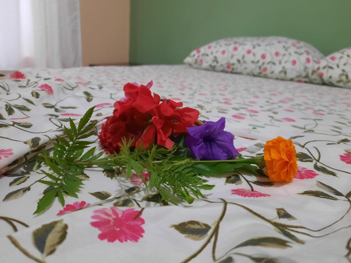 Hotel Gitana Corcovado, Y Tour Operador Drakes Bay Εξωτερικό φωτογραφία