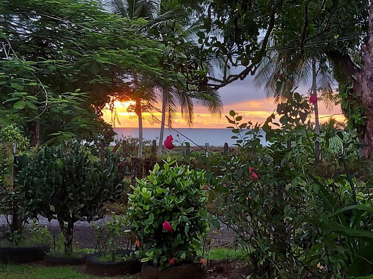 Hotel Gitana Corcovado, Y Tour Operador Drakes Bay Εξωτερικό φωτογραφία