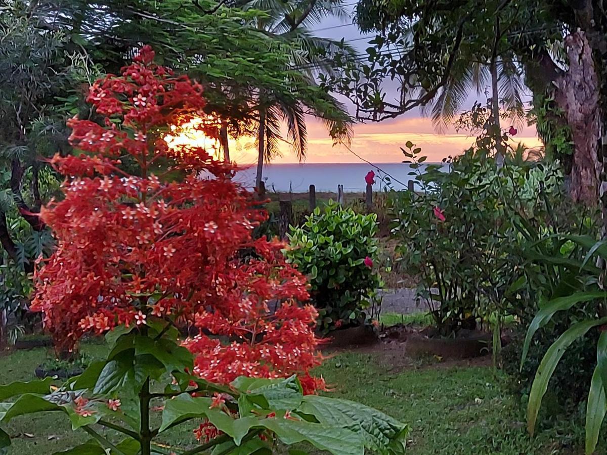 Hotel Gitana Corcovado, Y Tour Operador Drakes Bay Εξωτερικό φωτογραφία