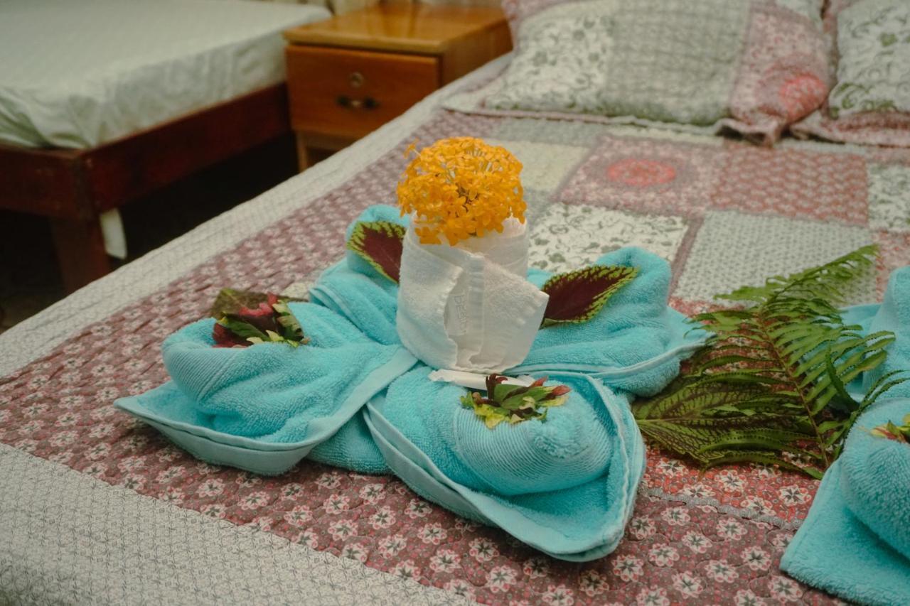 Hotel Gitana Corcovado, Y Tour Operador Drakes Bay Εξωτερικό φωτογραφία