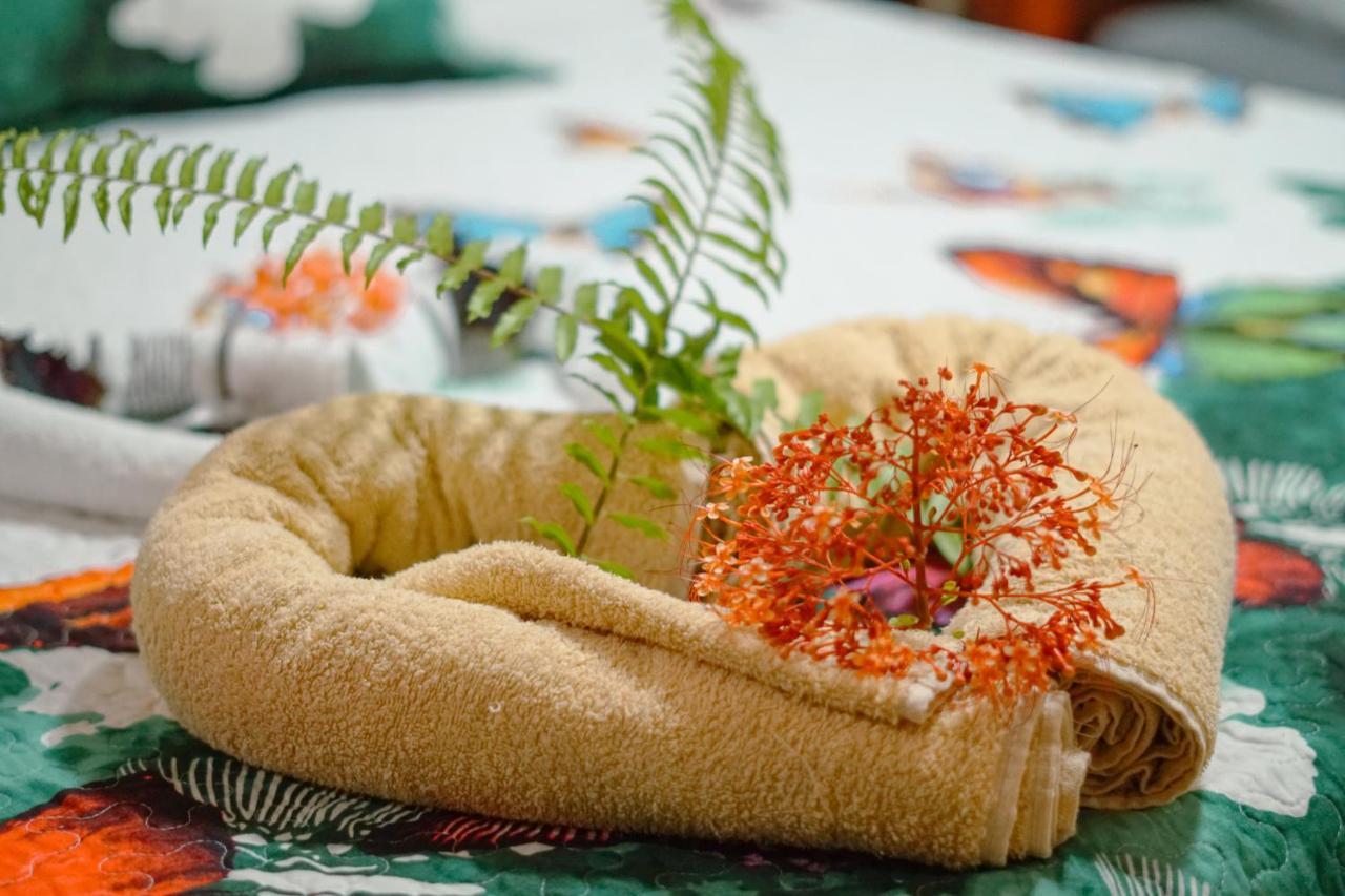 Hotel Gitana Corcovado, Y Tour Operador Drakes Bay Εξωτερικό φωτογραφία
