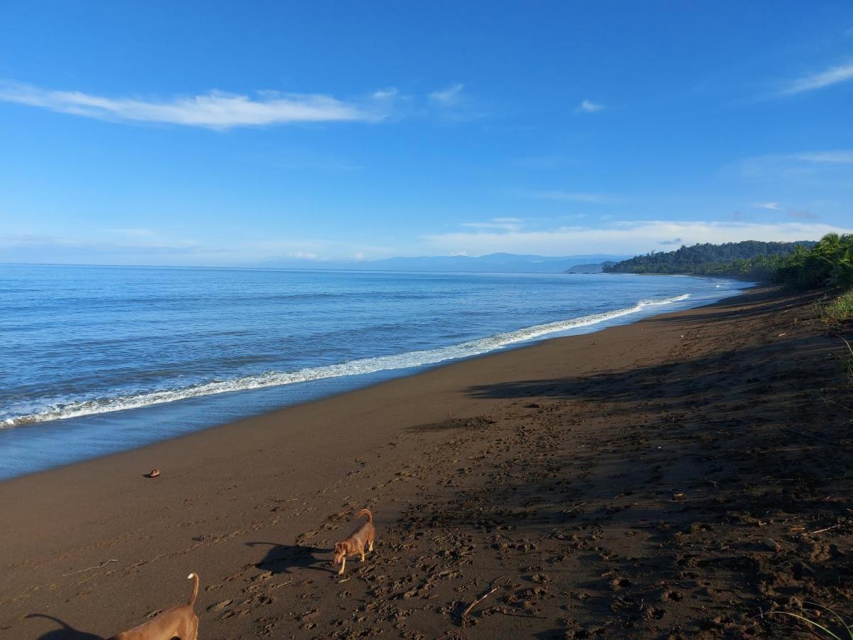 Hotel Gitana Corcovado, Y Tour Operador Drakes Bay Εξωτερικό φωτογραφία