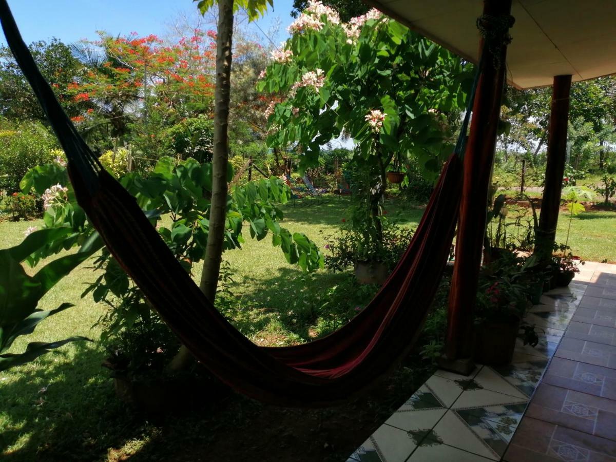 Hotel Gitana Corcovado, Y Tour Operador Drakes Bay Εξωτερικό φωτογραφία